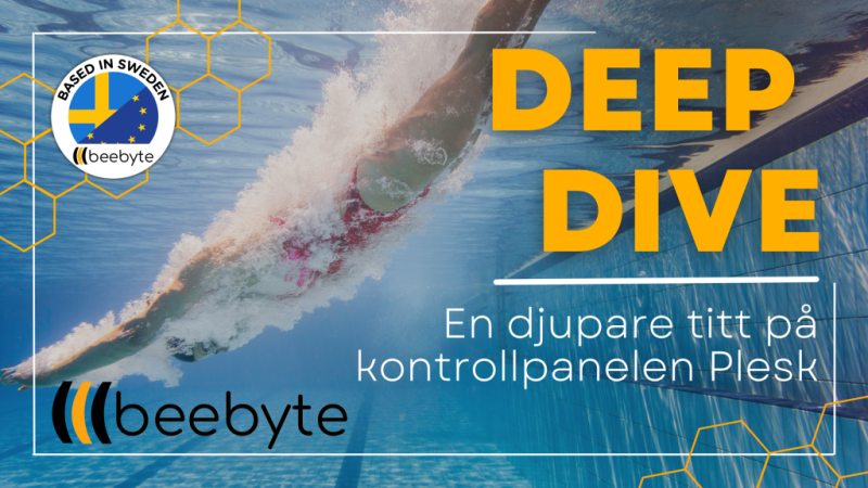 Deep Dive: Kontrollpanelen Plesk